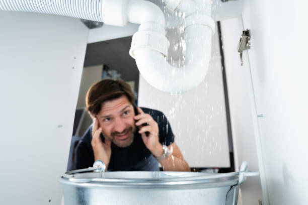 Best Plumbing Installation Services  in Forest View, IL