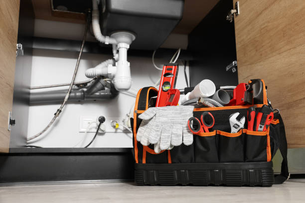 Best Plumbing Services Near Me  in Forest View, IL