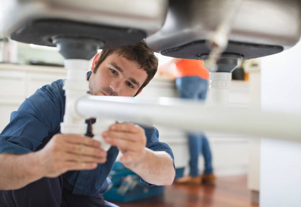 Best Toilet Repair Services  in Forest View, IL