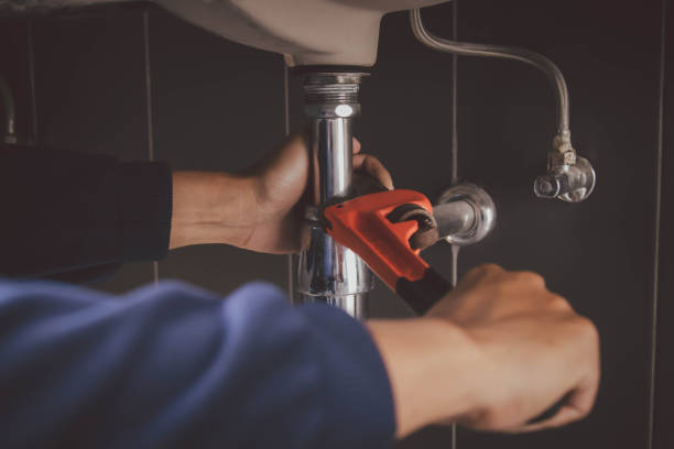Best Drain Cleaning Services  in Forest View, IL