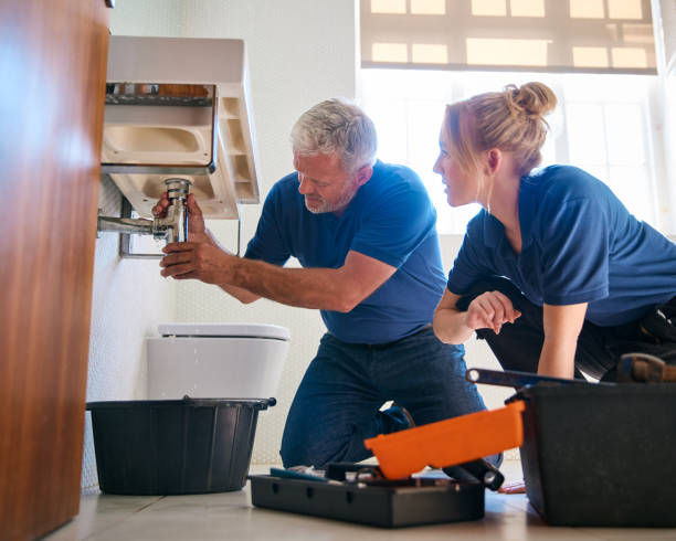 Best Residential Plumbing Services  in Forest View, IL