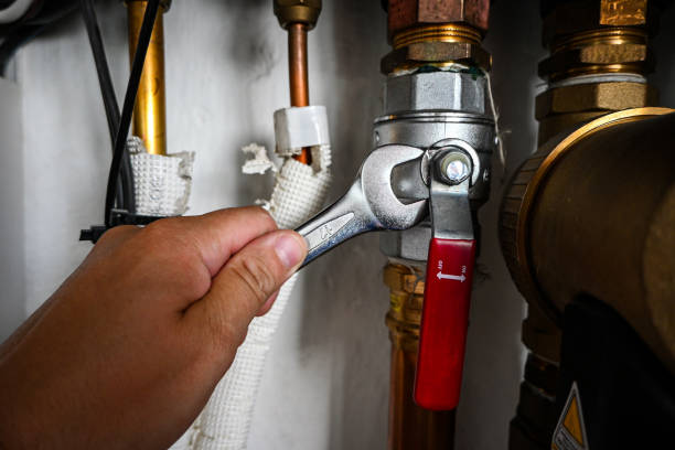 Best Drain Cleaning Services  in Forest View, IL